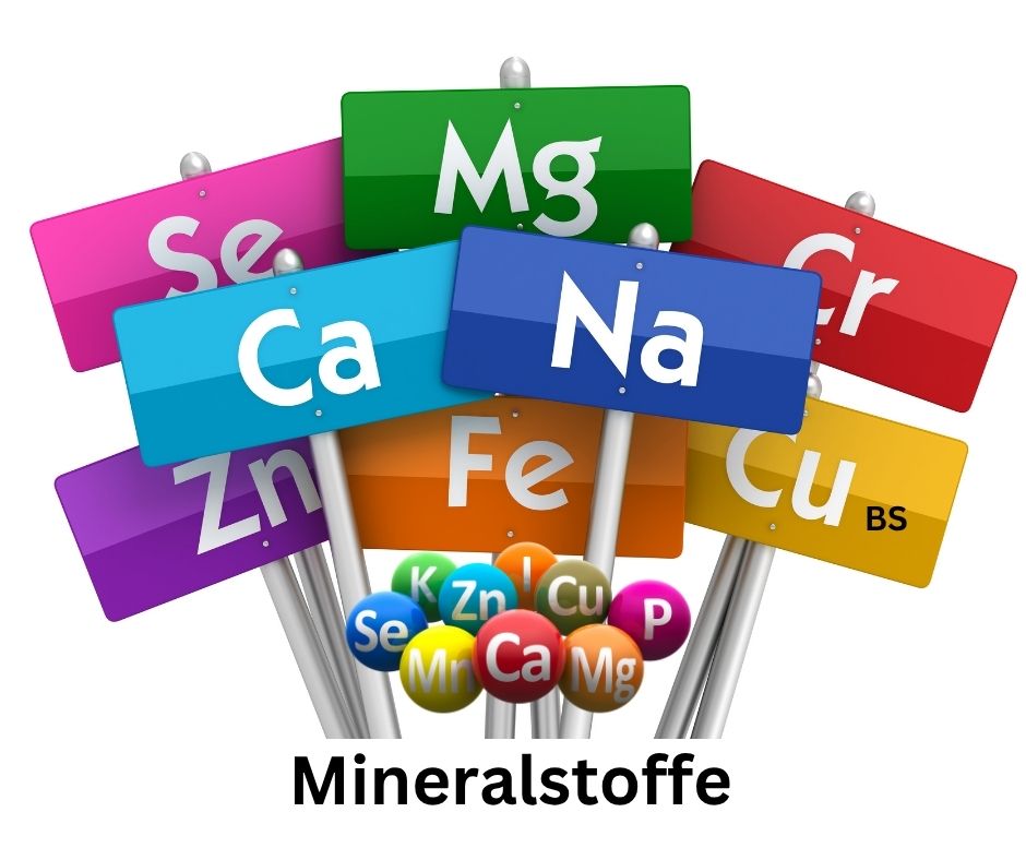 Mineralstoffe - Vital Supplements Mineralstoffe Kürzel.