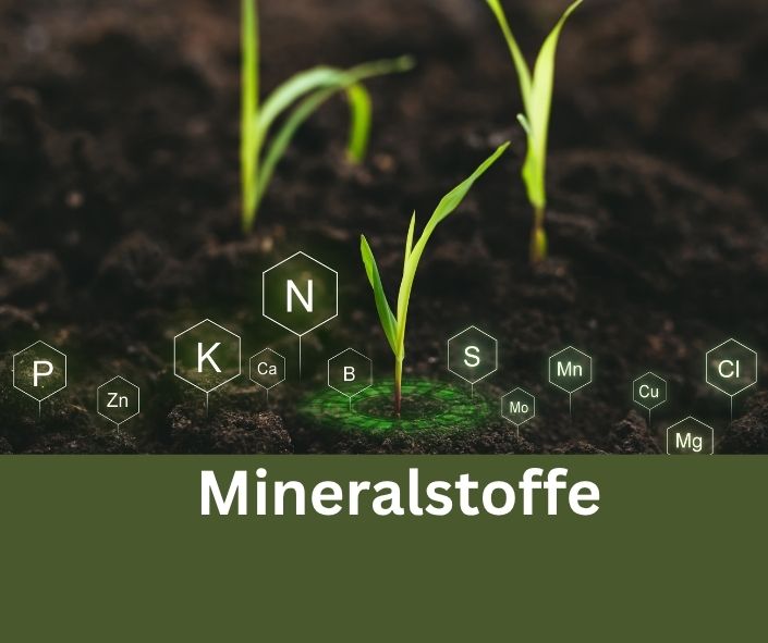 Mineralstoffe abkürzungen wie K, Ca, P, N, S