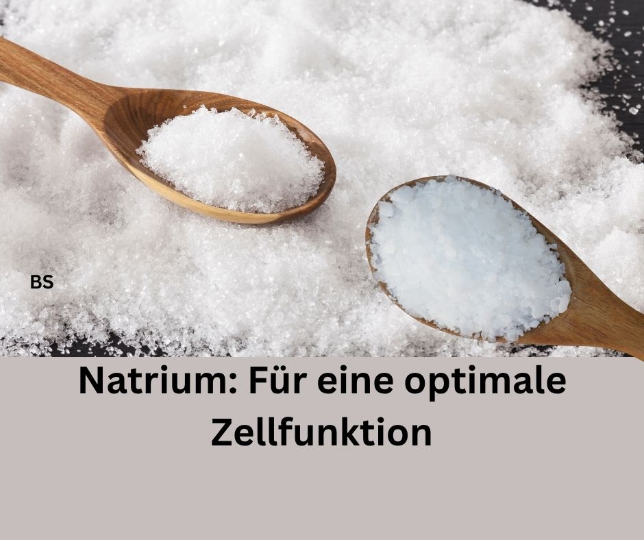 Natrium: Für eine optimale Zellfunktion