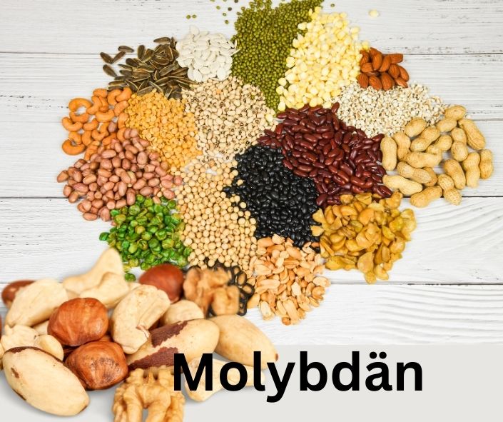 Molybdän. Abbildung zeigen Hülsefrüchte und Nüsse. 