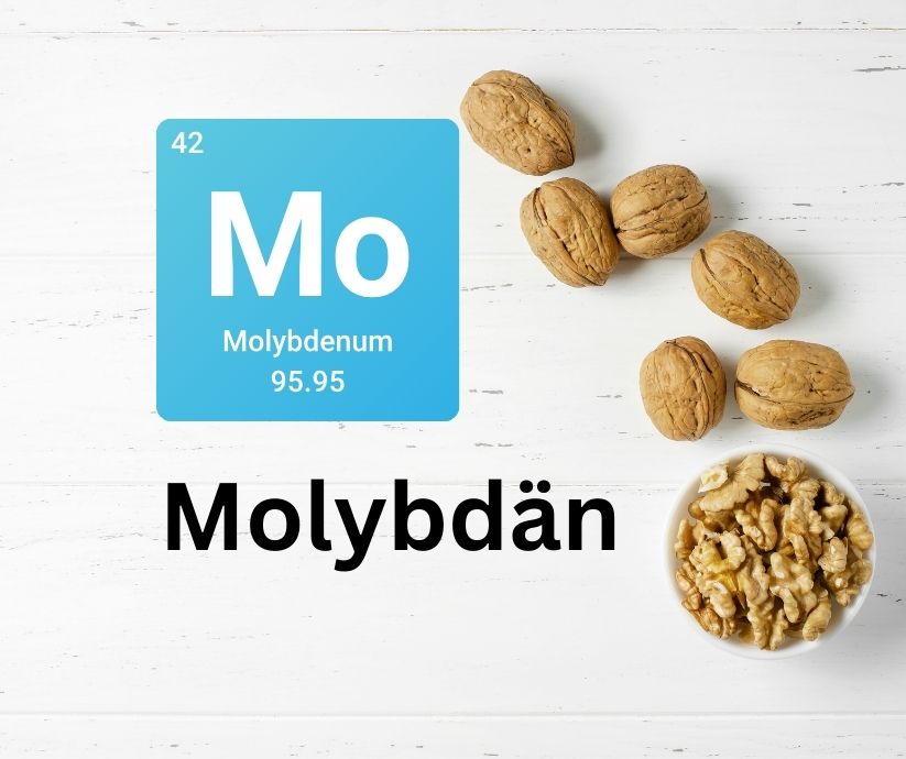 Molybdän: Das unterschätzte Spurenelement für deinen Körper