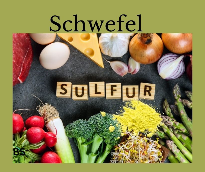 Schwefelreiche Lebensmittel wie Käse, Eier, Zwiebeln und Lauch. Schriftzug: Schwefel und Sulfur.