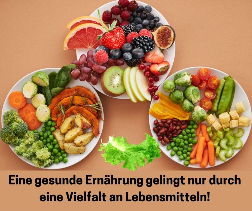 Gesunde Ernährung nur durch eine Vielfalt an Nahrungsmittel! - Vital Supplements Drei Tellern mit verschiedene Gemüse und Obst Sorten. Schriftzug: Eine gesunde Ernährung gelingt nur durch eine Vielfacht an Lebensmitteln.