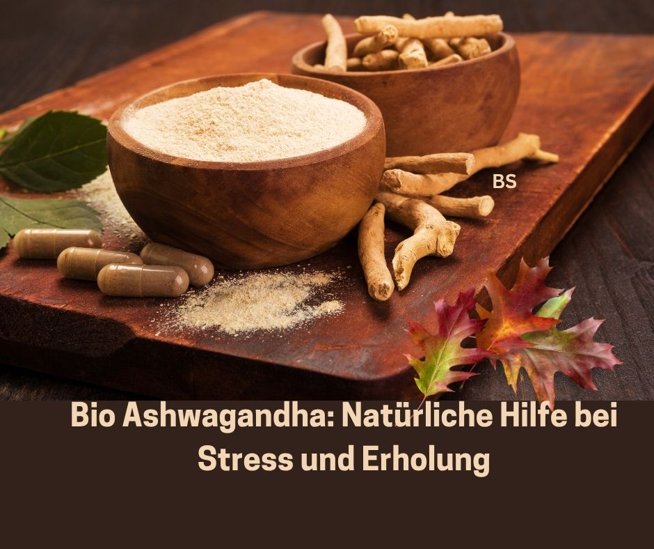 Bio Ashwagandha: Natürliche Hilfe bei Stress und Erholung