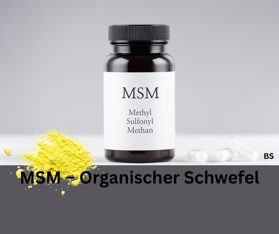 MSM – Organischer Schwefel für Gelenke, Haut und mehr