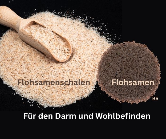 Flohsamenschalen und Flohsamen. Schriftzug: Für den Darm und Wohlbefinden.