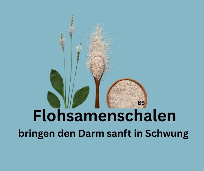 Flohsamenschalen. Schriftzug: Flohsamenschalen bringen den Darm sanft in Schwung.