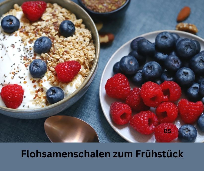 Frühstücksbowl mit Blaubeeren und Himbeeren. Schriftzug:  Flohsamen und Flohsamenschalen zum Frühstück. 