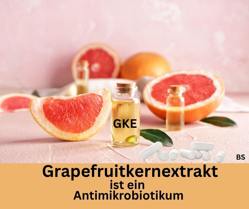 Grapefruit aufgeschnitten. Grapefruitkernextrakt in eine Kleine Flasche mit der Aufschrift GKE. Schriftzug: Grapefruitkernextrakt ist ein Antimikrobiotikum.