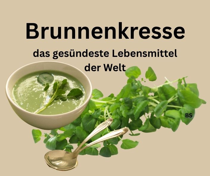 Brunnenkresse Suppe und Brunnenkresse. Schriftzug: Brunnenkresse das gesündeste Lebensmittel der Welt. Das Superfood.