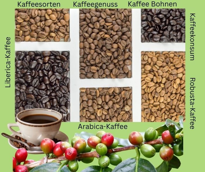 Verschiedene Kaffeesorten, von hell bis dunkel geröstet. Eine Tasse schwarzer Kaffee. Schriftzug: Kaffeesorten, Kaffeegenuss, Kaffee Bohnen, Kaffeekonsum, Robusta-Kaffee, Arabica-Kaffee und Liberica-Kaffee.  
